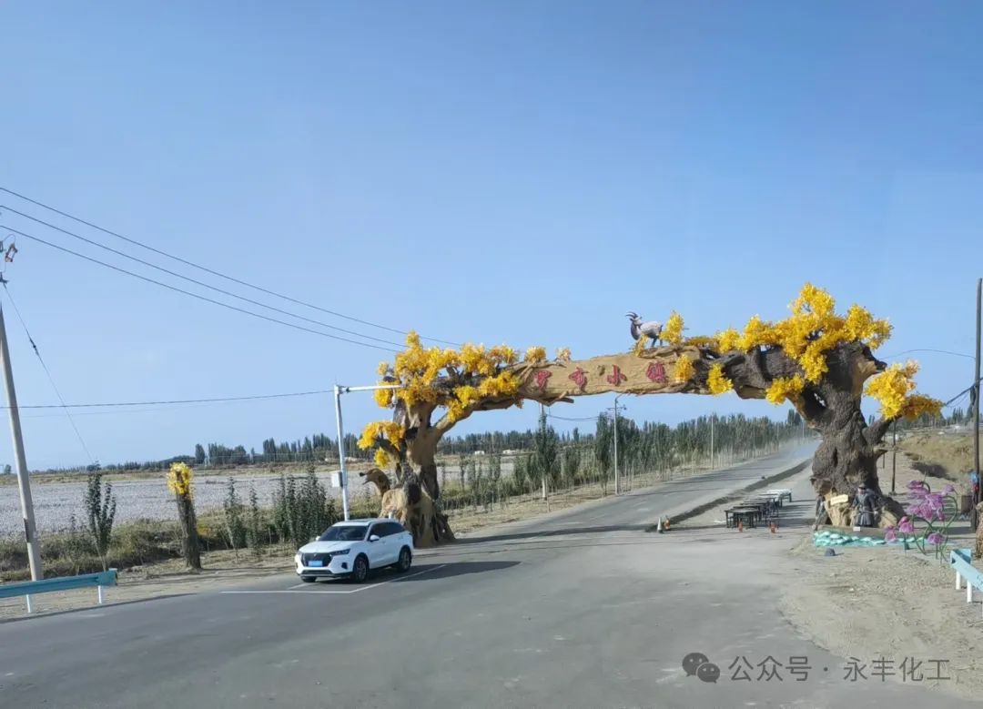 永豐團(tuán)隊團(tuán)建之新疆之旅